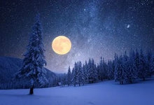 Load image into Gallery viewer, Winter&#39;s Night Dream - Candle
